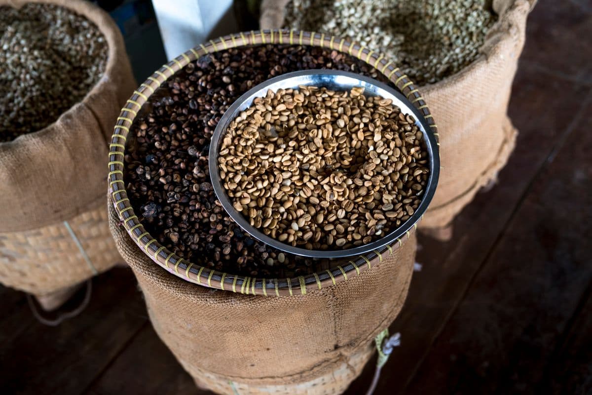 Lampung Fine Robusta, green bean Natural dari Lampung Barat