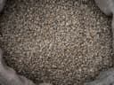 Foto produk Gayo Washed Arabica